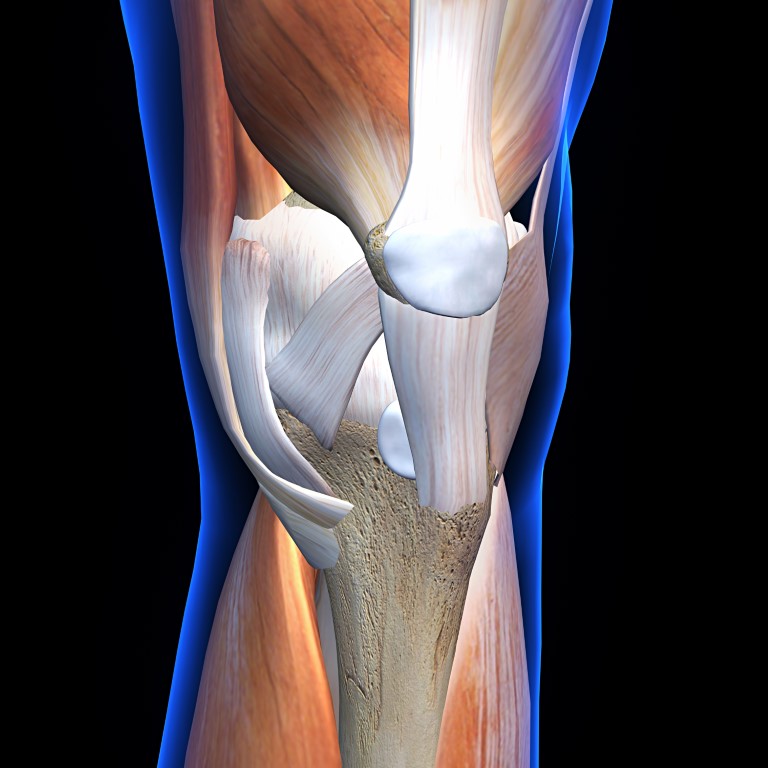 Frontal view of knee anatomy on black background